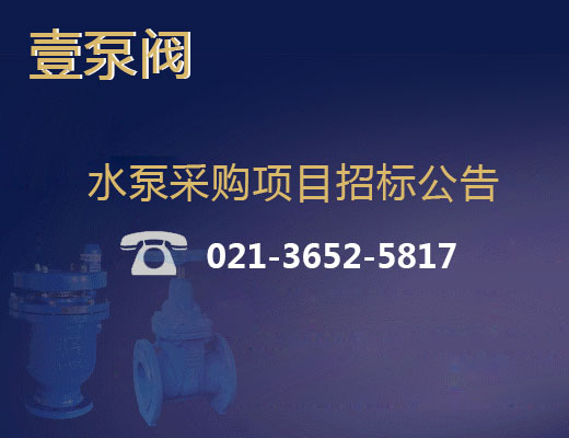 湖南湘西州污水处理厂项目国内采购潜水泵、闸阀等设备